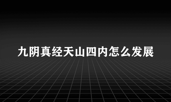 九阴真经天山四内怎么发展