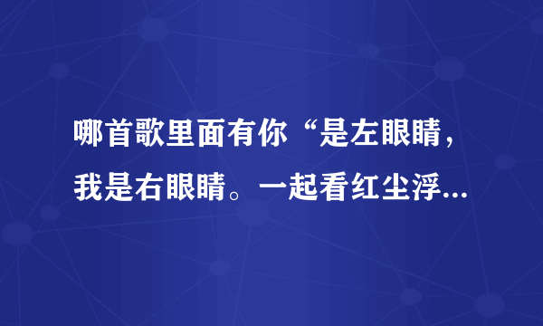 哪首歌里面有你“是左眼睛，我是右眼睛。一起看红尘浮光掠影”歌词