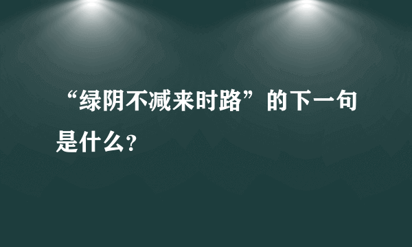 “绿阴不减来时路”的下一句是什么？