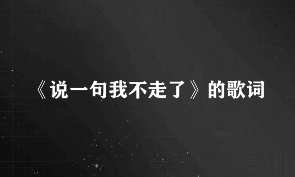 《说一句我不走了》的歌词