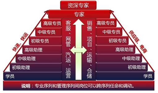 职业发展通道的常见模式有哪些？