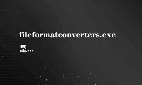 fileformatconverters.exe是什么意思