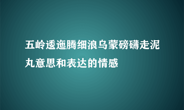 五岭逶迤腾细浪乌蒙磅礴走泥丸意思和表达的情感