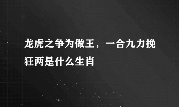 龙虎之争为做王，一合九力挽狂两是什么生肖