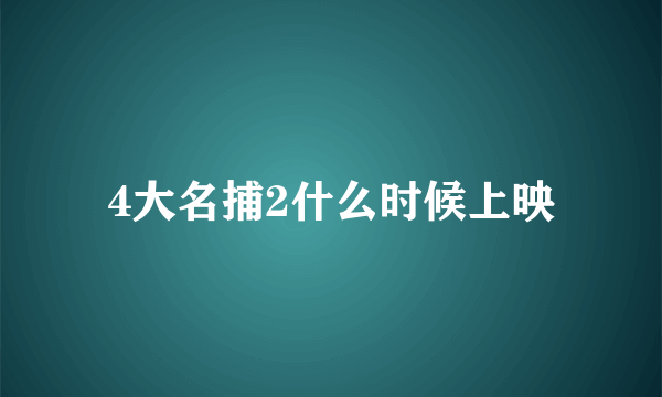 4大名捕2什么时候上映