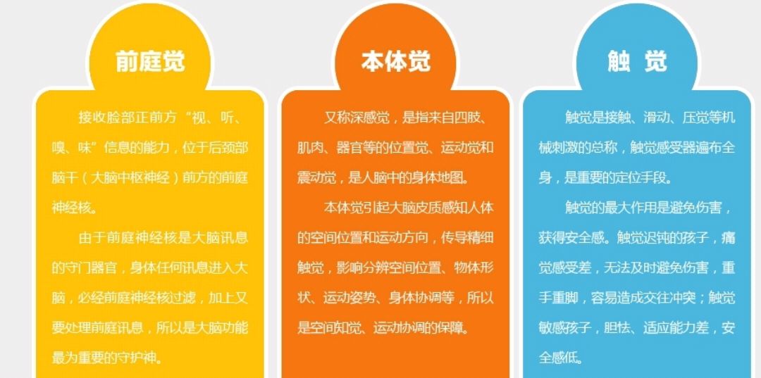 什么是感统？它包括什么？