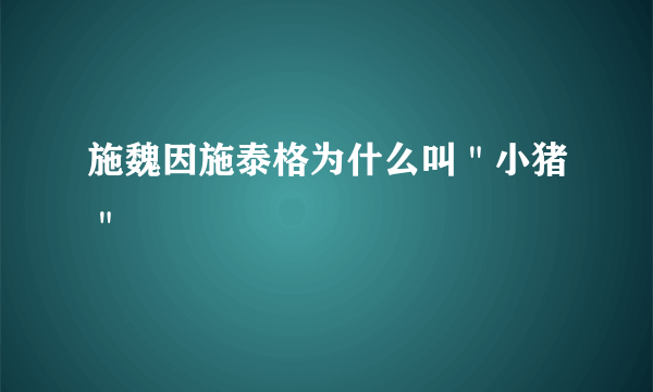 施魏因施泰格为什么叫＂小猪＂