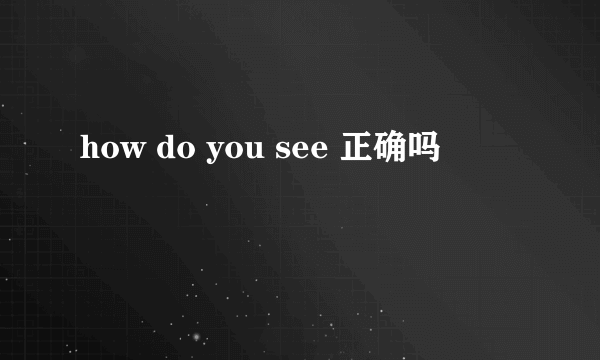 how do you see 正确吗