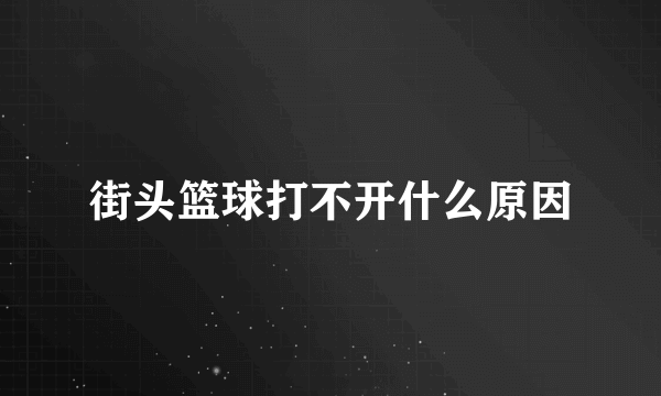 街头篮球打不开什么原因