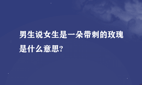 男生说女生是一朵带刺的玫瑰是什么意思?