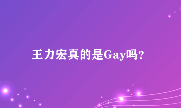 王力宏真的是Gay吗？