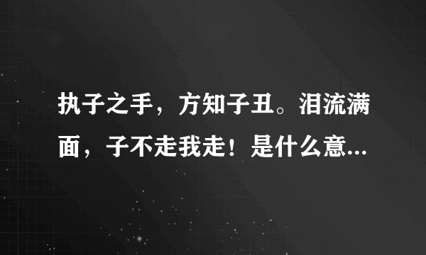 执子之手，方知子丑。泪流满面，子不走我走！是什么意思啊？求解答！