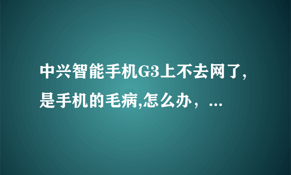 中兴智能手机G3上不去网了,是手机的毛病,怎么办，我已经恢复出厂设置了，还是不行，求高人相救