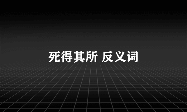 死得其所 反义词