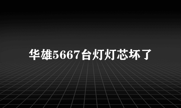 华雄5667台灯灯芯坏了