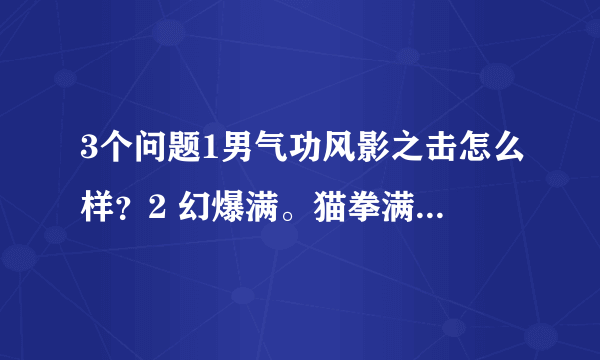 3个问题1男气功风影之击怎么样？2 幻爆满。猫拳满 气息满。不加小老虎跟大老虎怎么样？3附魔光强还是魔攻