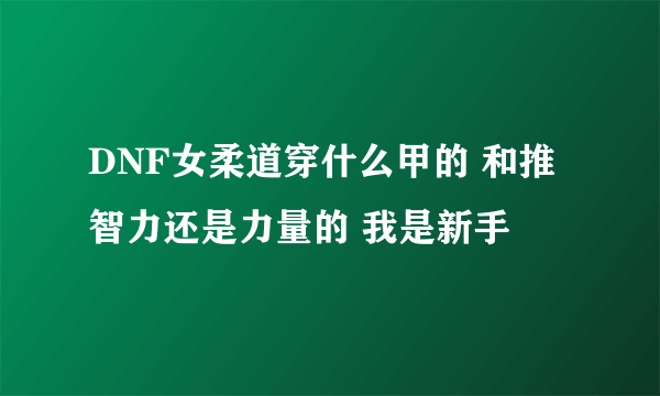 DNF女柔道穿什么甲的 和推智力还是力量的 我是新手