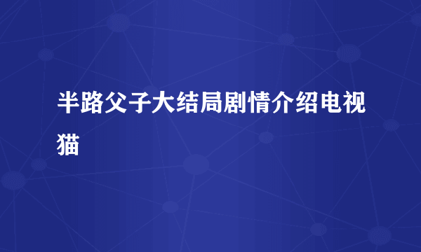 半路父子大结局剧情介绍电视猫