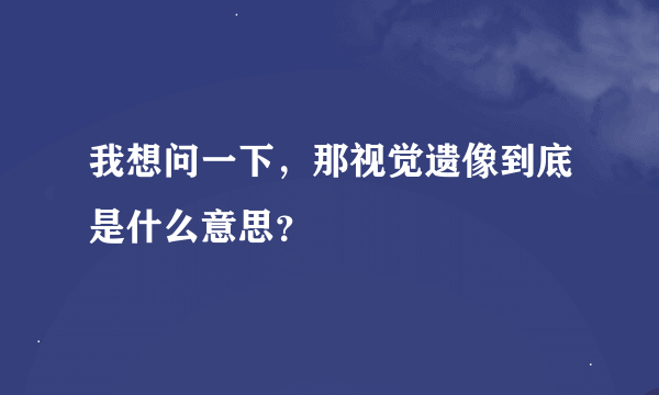 我想问一下，那视觉遗像到底是什么意思？