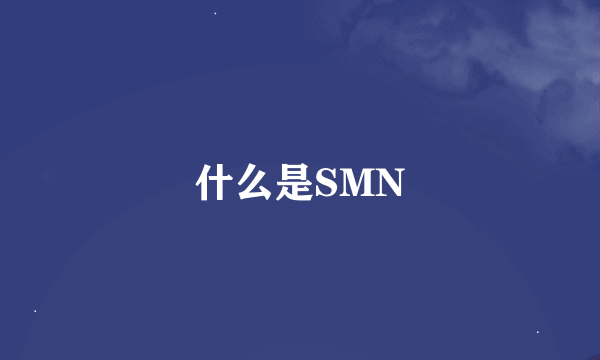 什么是SMN