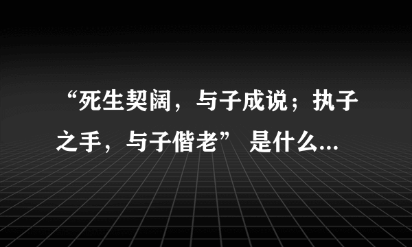 “死生契阔，与子成说；执子之手，与子偕老” 是什么意思？出处？