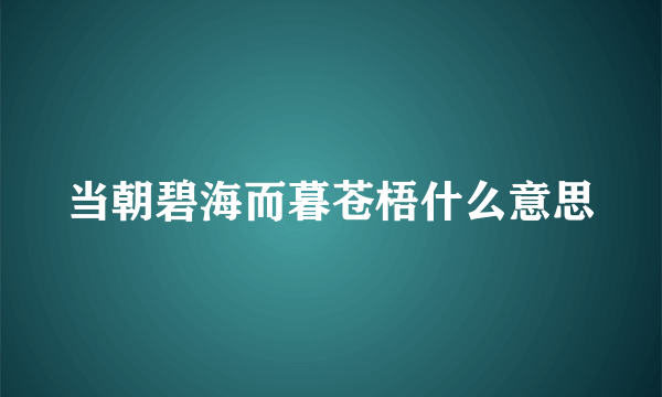 当朝碧海而暮苍梧什么意思