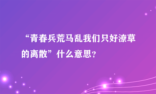 “青春兵荒马乱我们只好潦草的离散”什么意思？