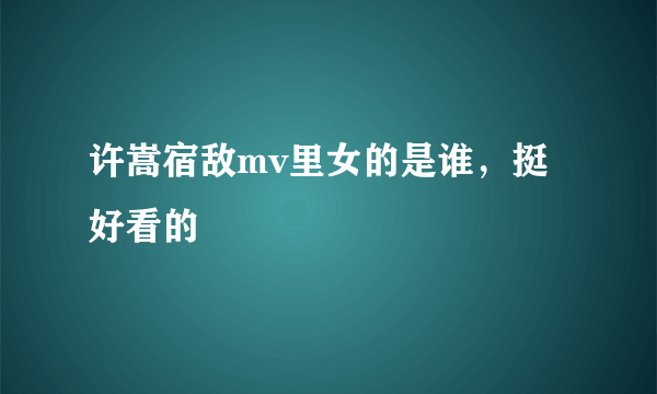 许嵩宿敌mv里女的是谁，挺好看的