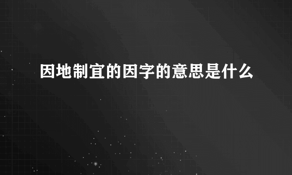 因地制宜的因字的意思是什么