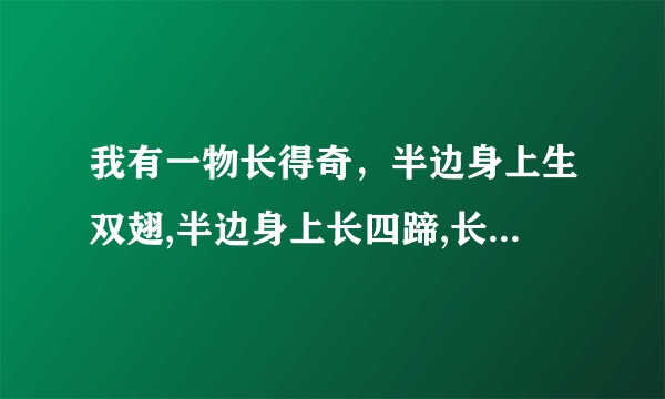 我有一物长得奇，半边身上生双翅,半边身上长四蹄,长蹄的跑不快,长翅飞不起打一字。