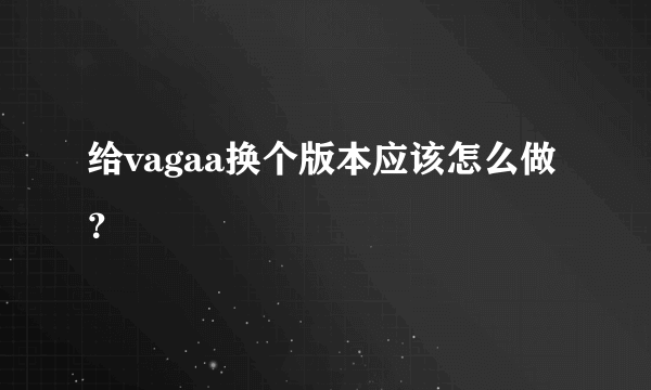 给vagaa换个版本应该怎么做？