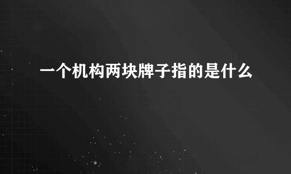 一个机构两块牌子指的是什么