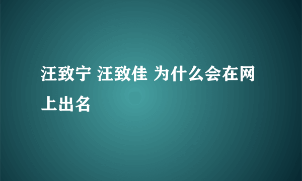 汪致宁 汪致佳 为什么会在网上出名