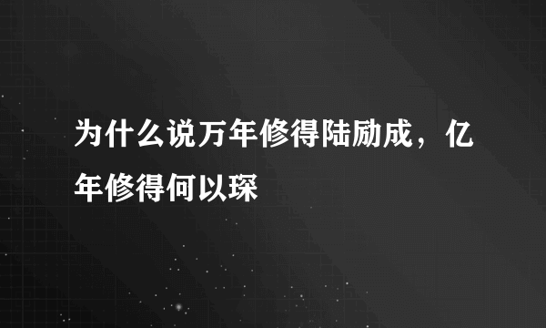 为什么说万年修得陆励成，亿年修得何以琛