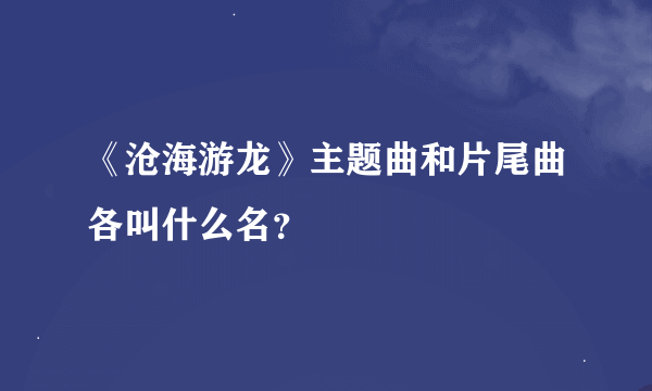 《沧海游龙》主题曲和片尾曲各叫什么名？