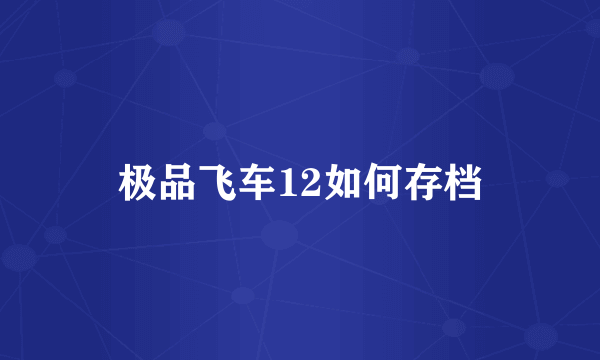 极品飞车12如何存档