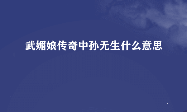 武媚娘传奇中孙无生什么意思