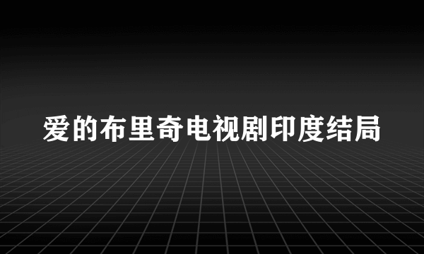 爱的布里奇电视剧印度结局