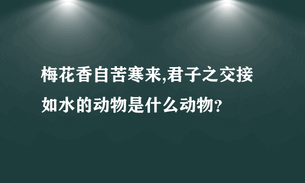 梅花香自苦寒来,君子之交接如水的动物是什么动物？