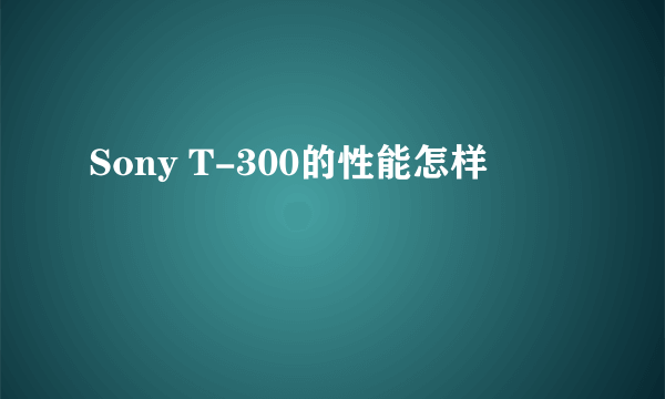 Sony T-300的性能怎样