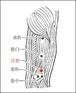 后股穴的介绍