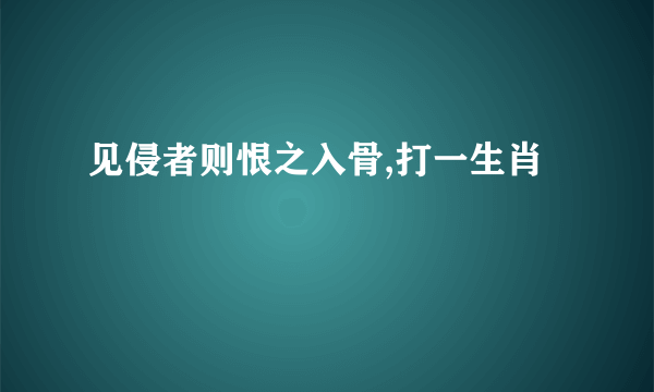 见侵者则恨之入骨,打一生肖