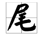 “尾”字组词语有哪些？