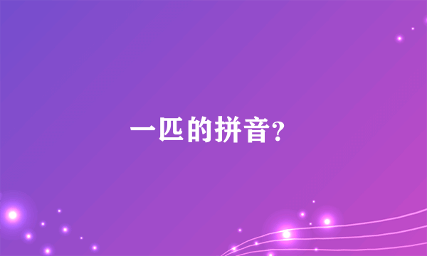 一匹的拼音？