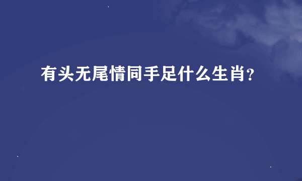 有头无尾情同手足什么生肖？