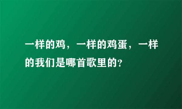 一样的鸡，一样的鸡蛋，一样的我们是哪首歌里的？