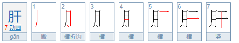 偏旁是月的字多与什么有关？