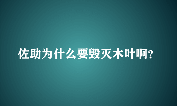 佐助为什么要毁灭木叶啊？