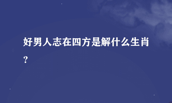 好男人志在四方是解什么生肖？