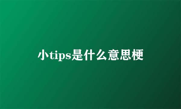 小tips是什么意思梗